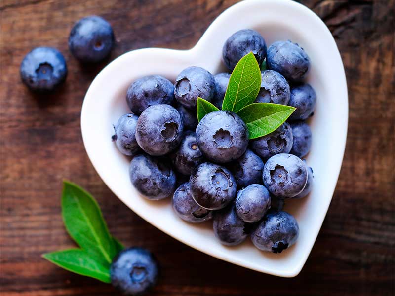 Blaubeeren sind gut für den Darm: Sie liefern viele Ballaststoffe und halten deine Darmflora in Topform