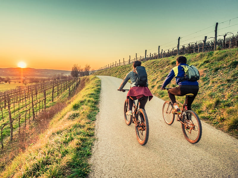 Bei einer Radtour an der frischen Luft stärkst du neben deiner Muskulatur und Beweglichkeit gleichzeitig auch dein Immunsystem und tankst mehr Vitamin D.