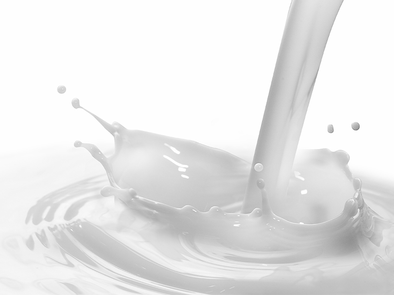 Pflanzendrinks im Vergleich, Geschmack- und Konsistenz-Test, Umweltfreundlichkeit & FAQ,