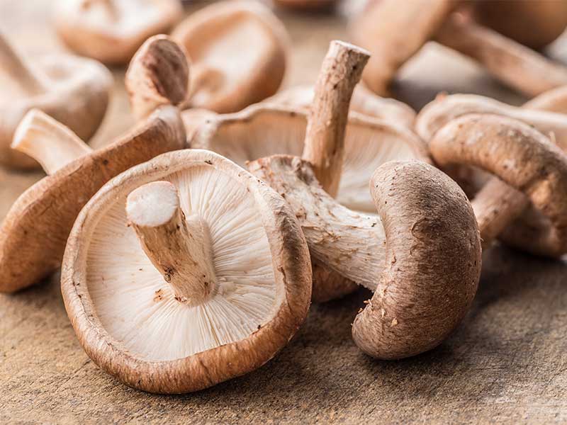 Shiitake-Pilze sind in der asiatischen Küche schon lange beliebt. Sie stärken das Immunsystem und senken deinen Cholesterinspiegel.