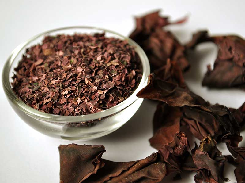 Algen-Nährwerte im Detail: Dulse enthält viel Jod und Kalium,