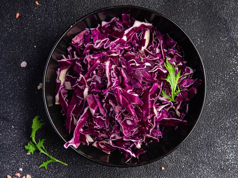 Micro Greens: Rotkohl