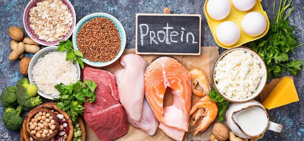 Eiweiß fürs Training: Warum Proteine so gesund sind!