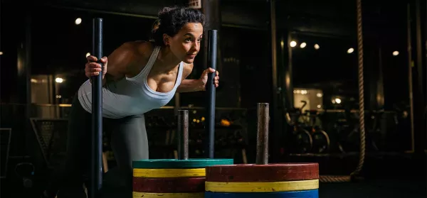 Magazin-Artikel zu Push-Pull-Training